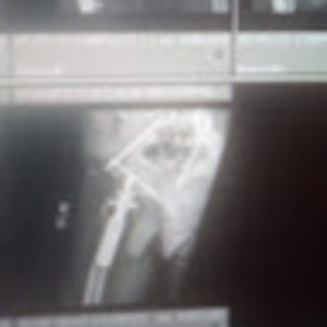 Meet your Posher, Travis